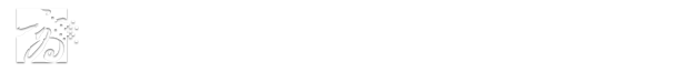 数智商贸学院
